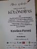 Alkoss szabadon!_1